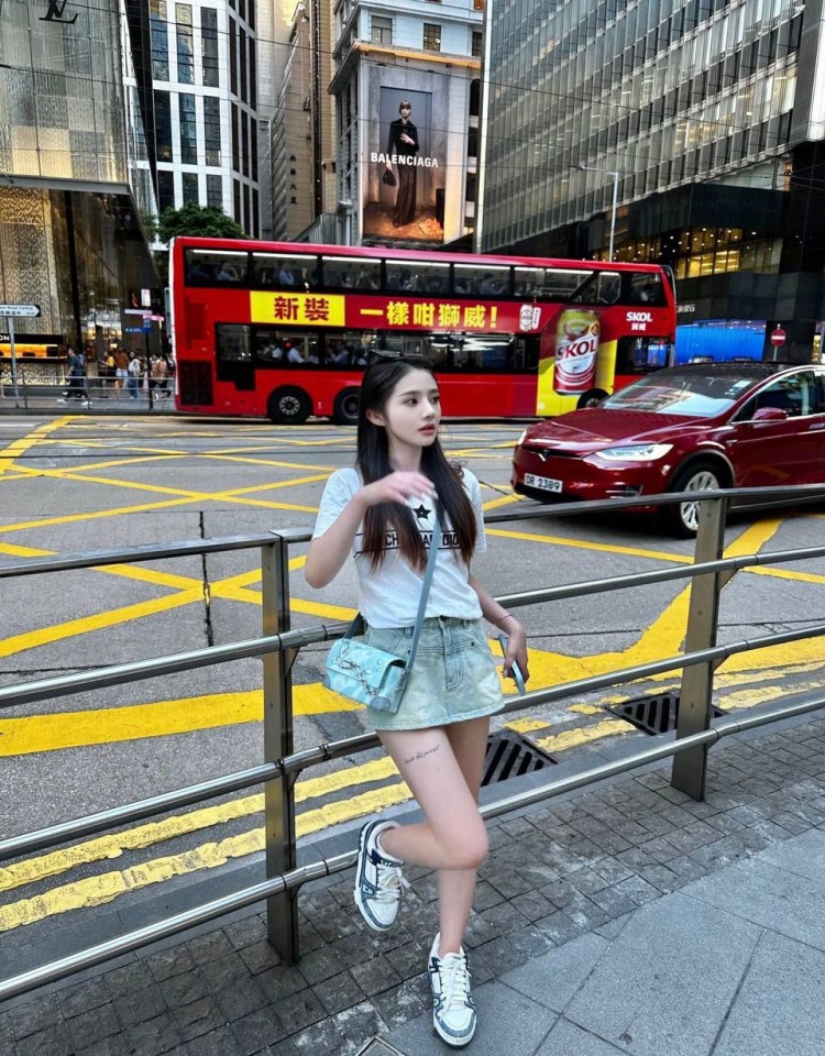 完美世界免费樱花动漫,高清正版视频在线观看